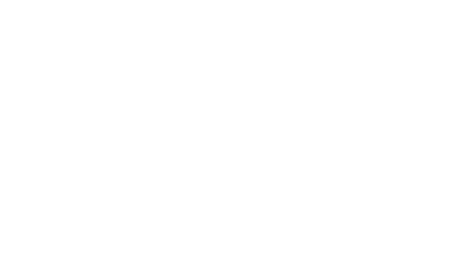 Salaar Sultani, established 2024